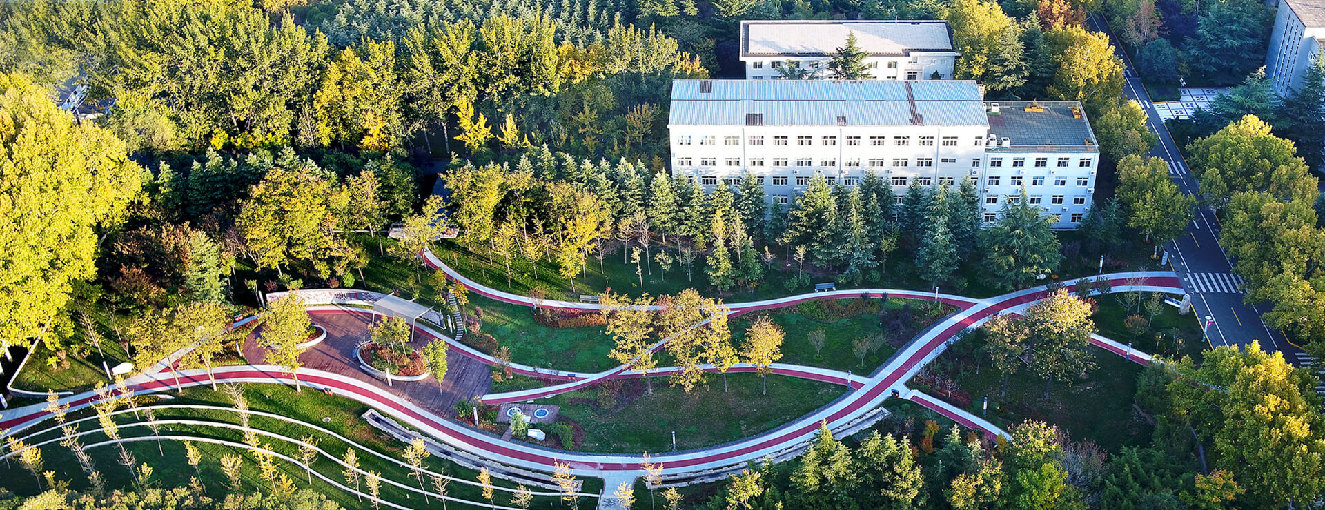 茄子影视在线观看